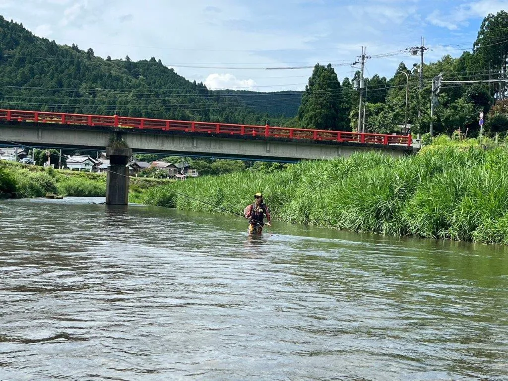 支流北川は貸切り状態！右岸のヘチには多くのアユが…