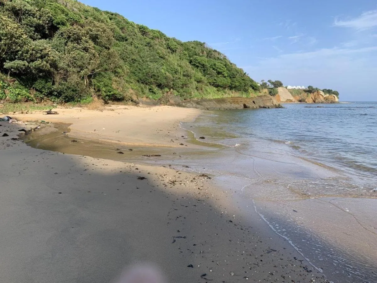 ここだ、ここの流れ込みだと見当を付ける。©釣りビジョン