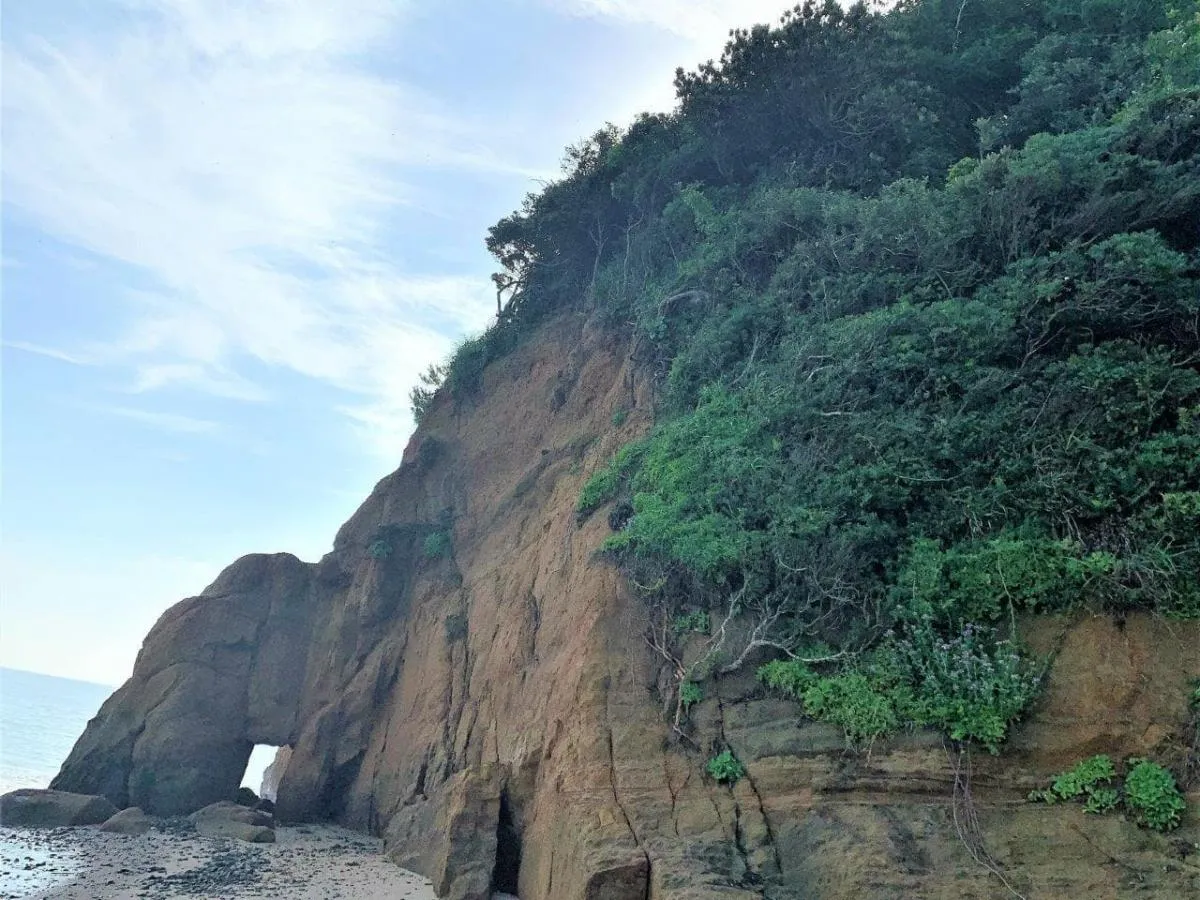 自然のストラクチャーが古希ジイを夏の日差しから守ってくれる。©釣りビジョン