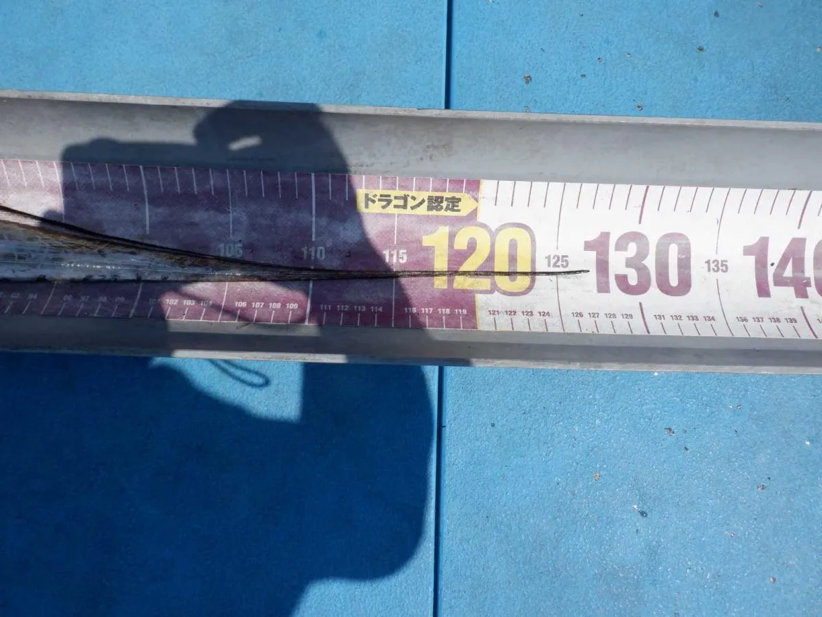 こちらも127cm！船中2匹目の“ドラゴン”級！©釣りビジョン