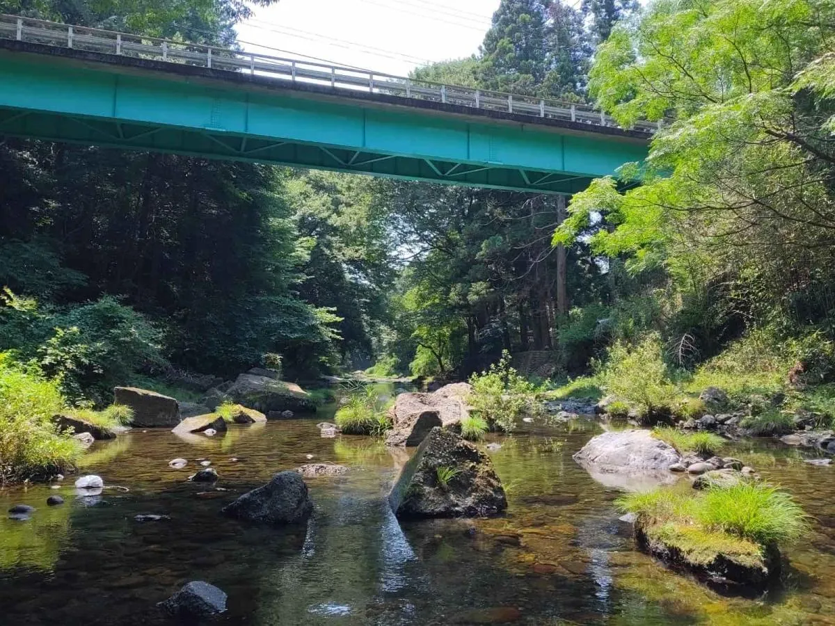 岩井堂橋直下の成木川の川相。岩が点在し、ポイントも多数。©釣りビジョン
