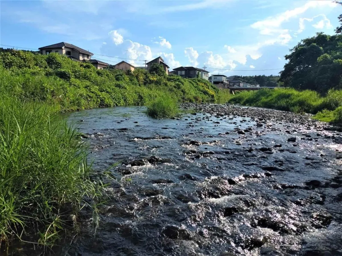 オイカワやカワムツの魚影が比較的濃い合流点上流。©釣りビジョン