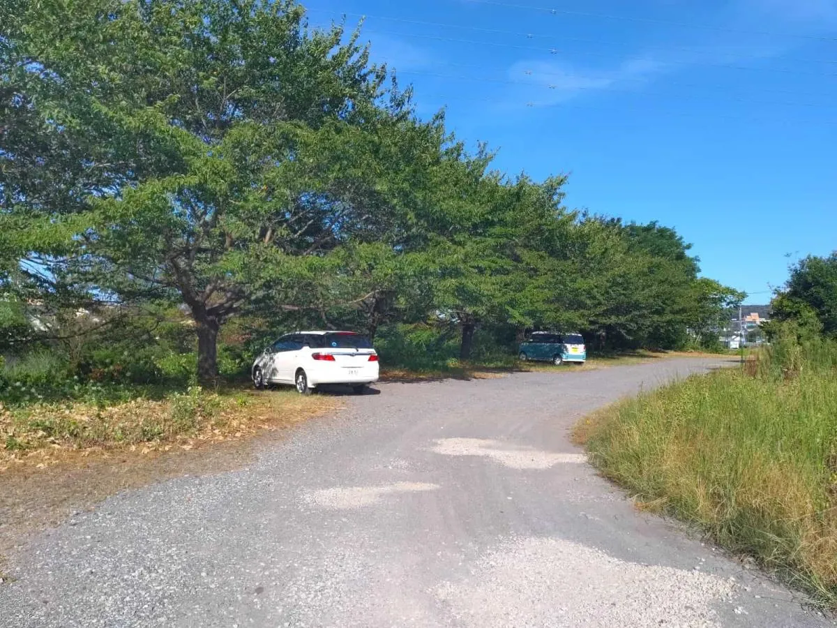 入間川と成木川の合流点右岸にある駐車スペース。©釣りビジョン