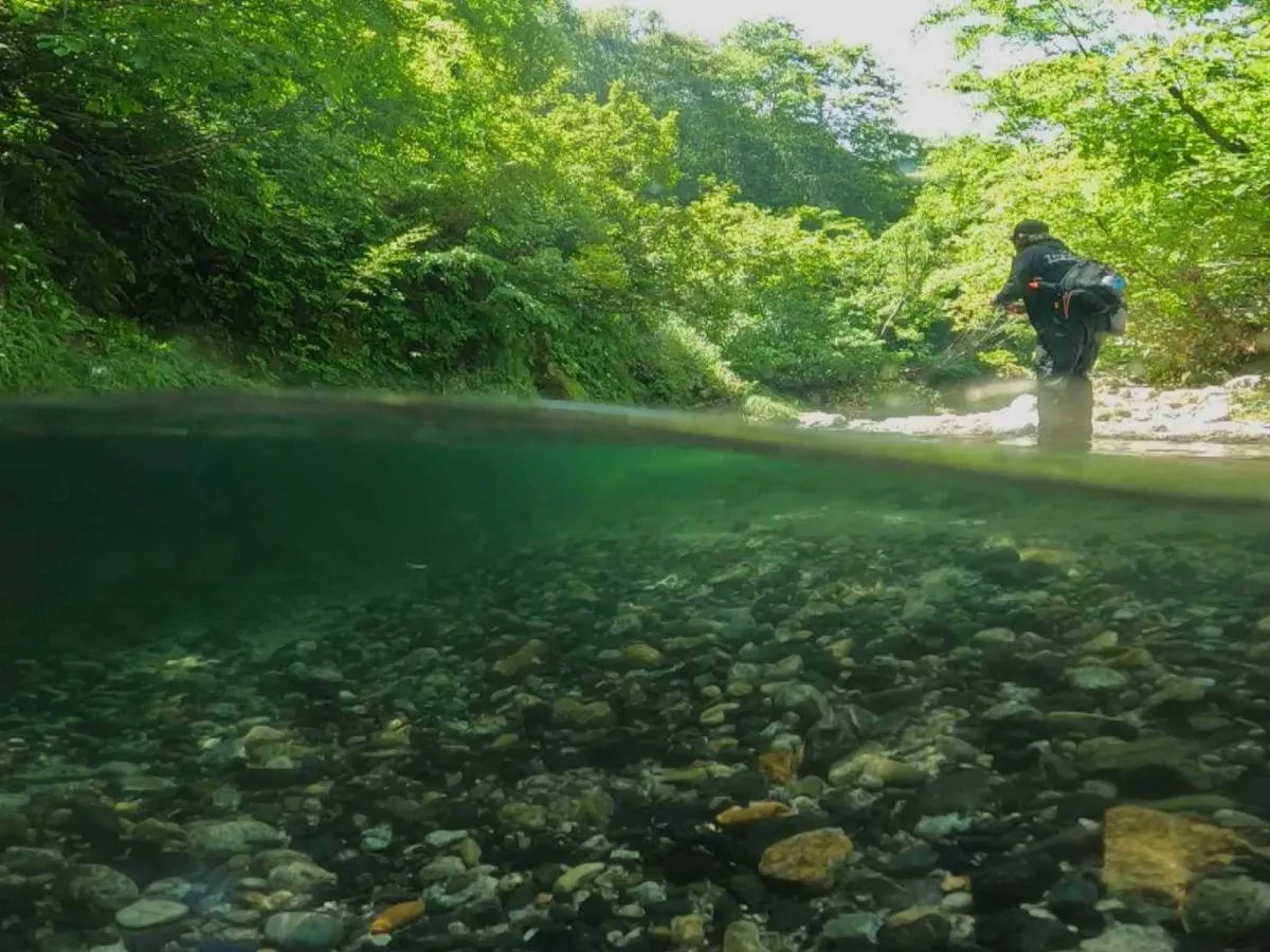 天然のクーラーである源流域。番組は涼しげでハイクオリティーな映像が満載。©釣りビジョン