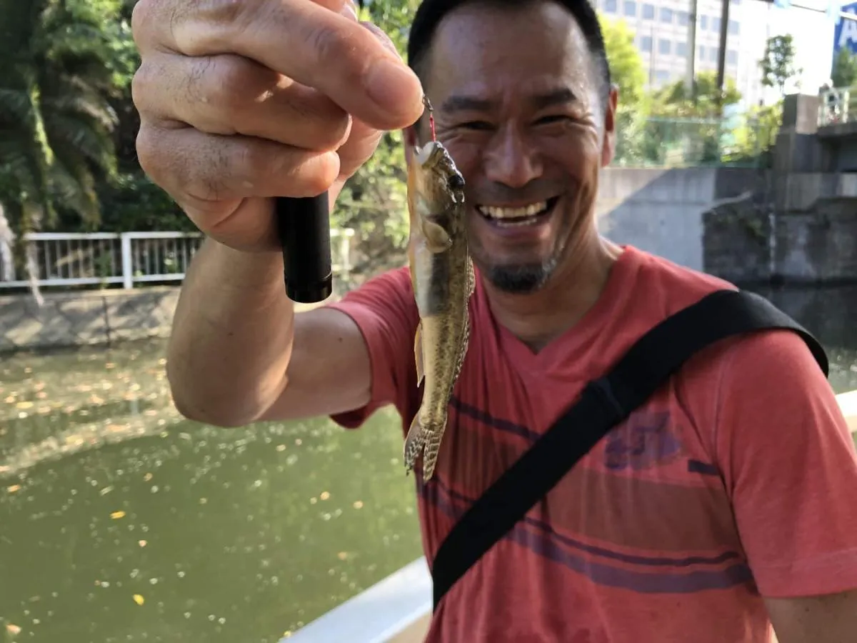 ハセガワも10cmクラスを追加。©横沢鉄平