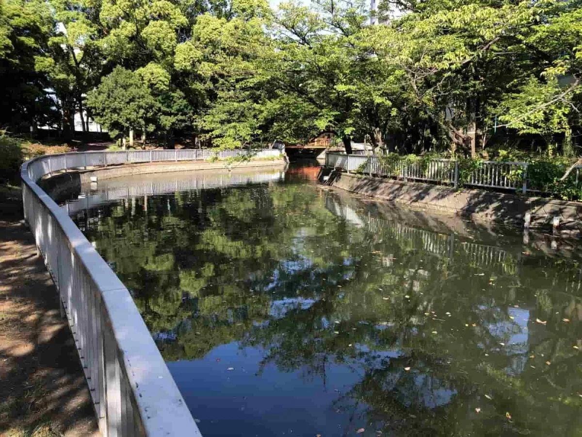 仙台堀川は、手竿で楽しむには最適な川幅だ。釣り禁止の区域もあるので、現場で確認しよう。©横沢鉄平