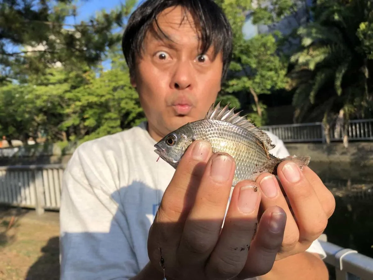 オオモリには嬉しいゲストフィッシュ。©横沢鉄平