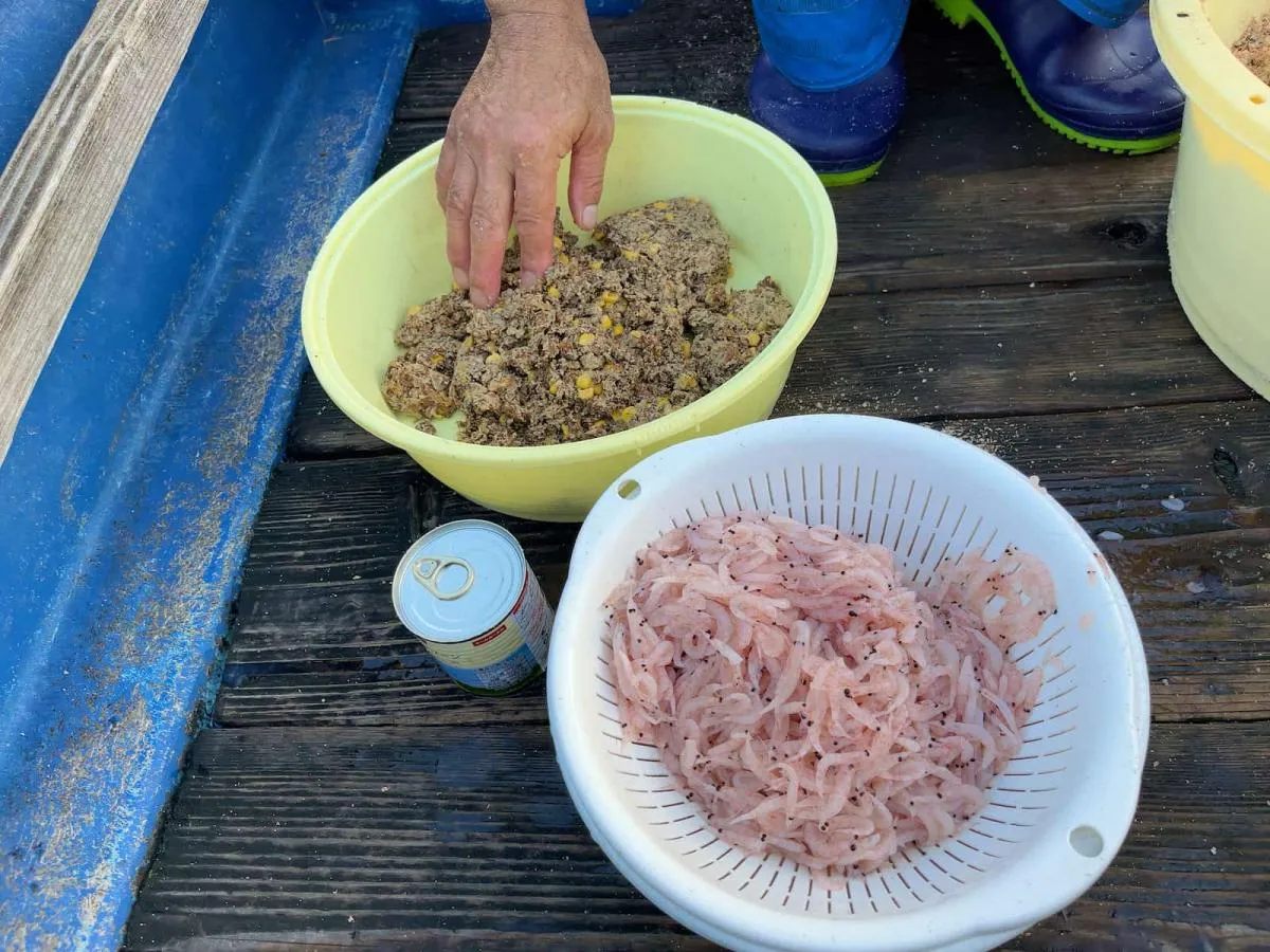 付け餌はオキアミ、さなぎとコーンのミンチ、缶詰のトウモロコシ　©釣りビジョン
