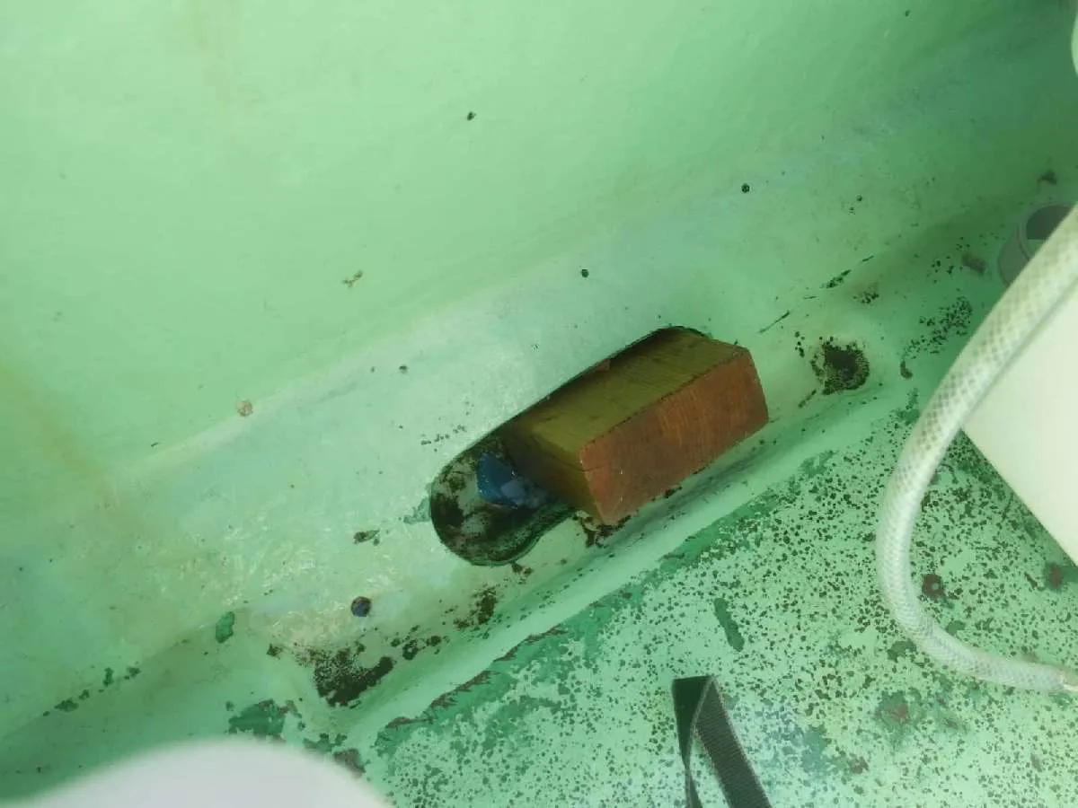 排水口から魚が逃げないように木片を入れると良い。©釣りビジョン
