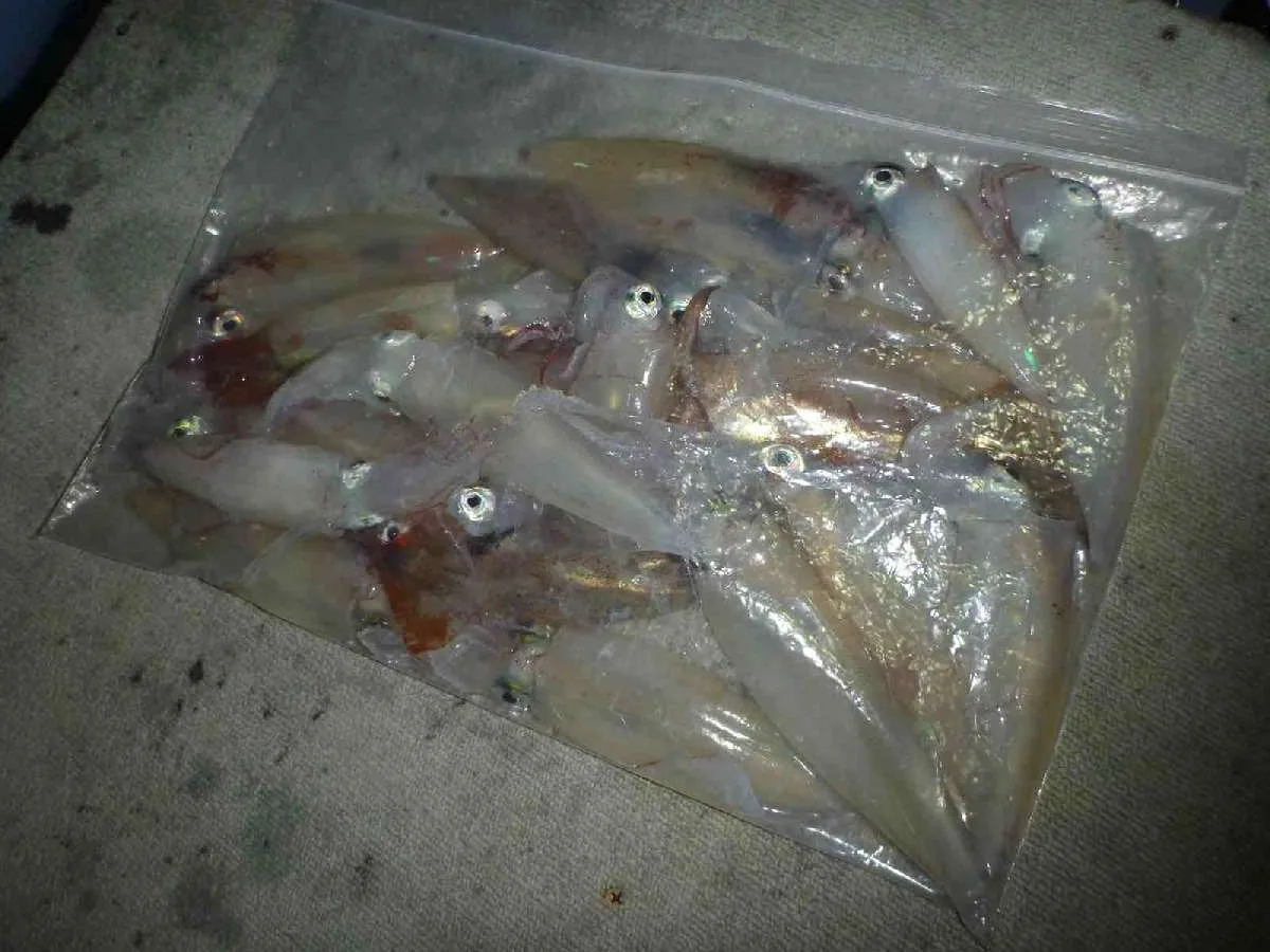 これだけあると食べがいがあります。©釣りビジョン