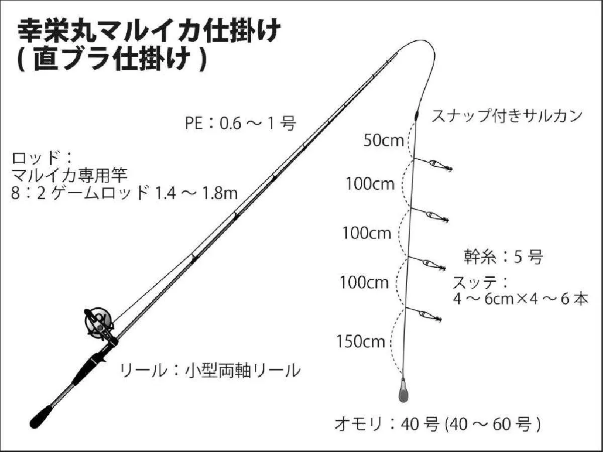 幸栄丸「直ブラ仕掛け」©釣りビジョン