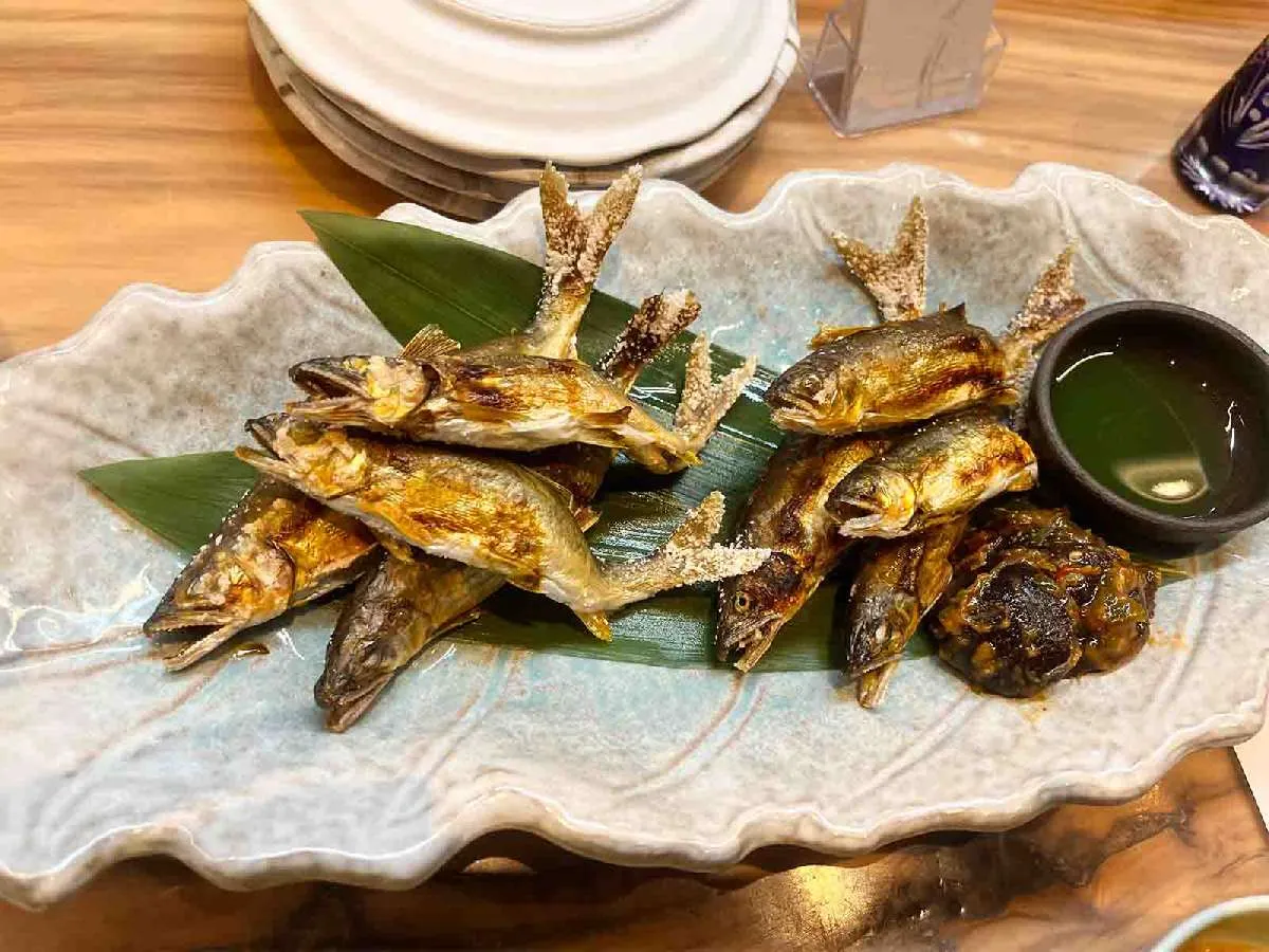 釣って良し！食べて良し！の“庄川アユ”