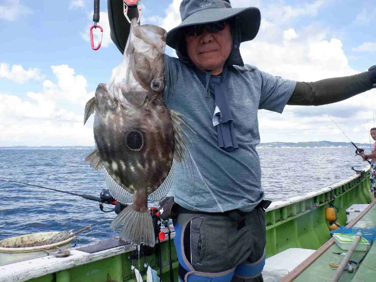 泳がせ釣りに型の良いマトウダイが来て沖上がり！©釣りビジョン