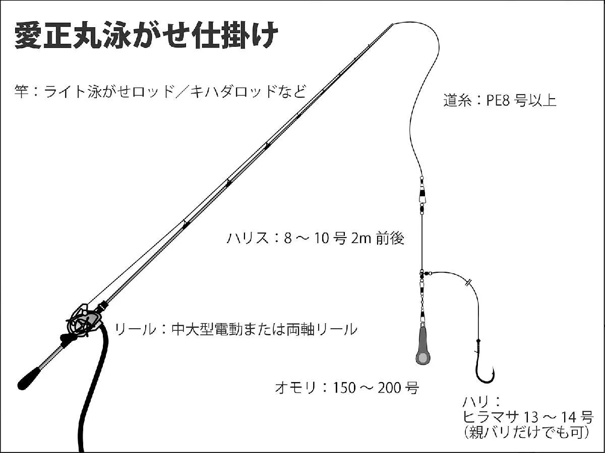 愛正丸「泳がせ仕掛け」©釣りビジョン