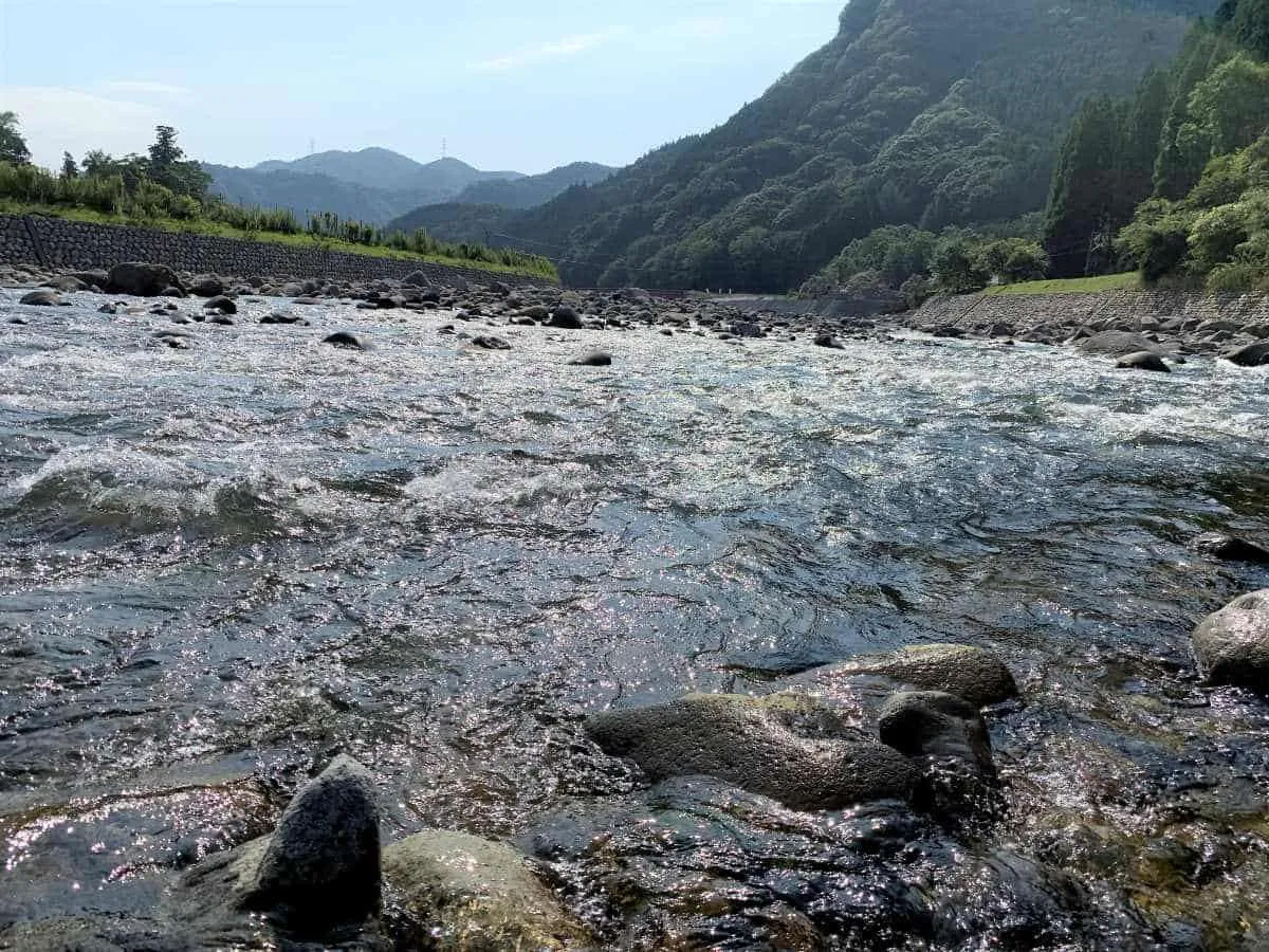 ギラギラの浅瀬にアユが跳ねる。©釣りビジョン