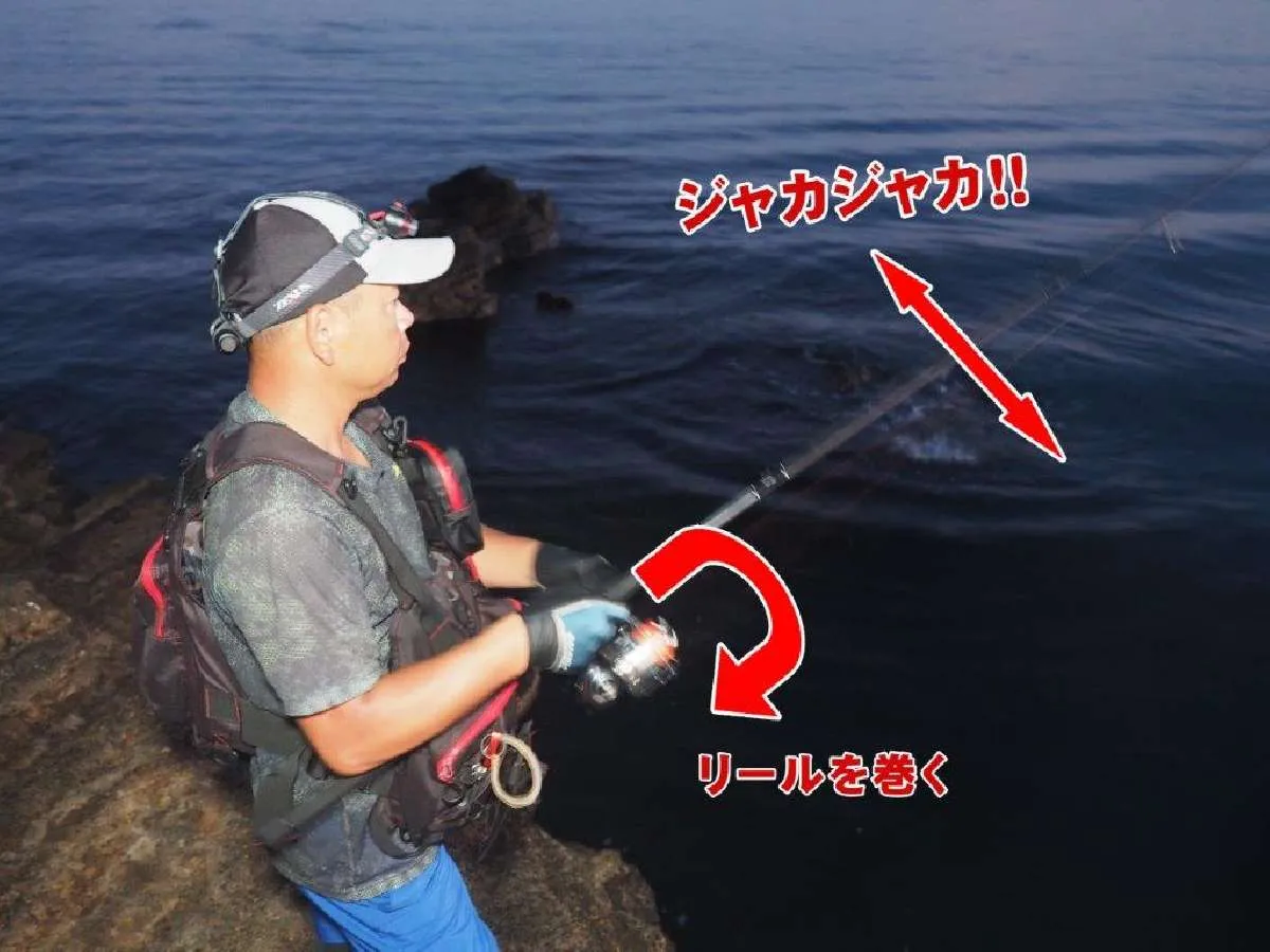 <b>【ジャカジャカ巻き】</b>ロッドにジャカジャカと連続的なショートジャークを加えつつ、リールを巻く。©釣りビジョン　写真：横沢鉄平