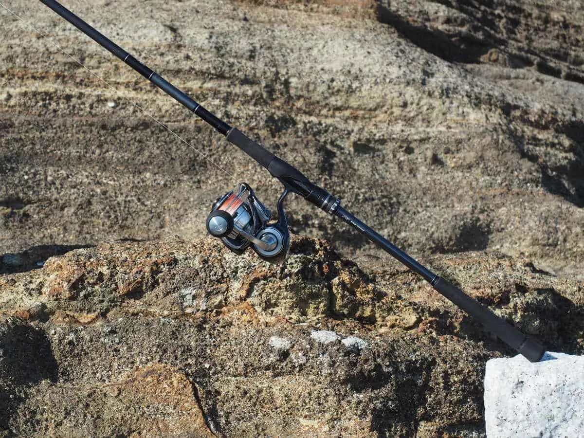 渡邊さんのタックルは●ロッド：ラブラックスAGS110MH-3（DAIWA）●リール：セルテートSW6000ＸＨ（DAIWA）●ライン：撃投ＰＥフラッシュ2号（カルティバ）＋モアザンリーダーＥＸⅡTYPE-Ｆ40lb（DAIWA）。©釣りビジョン　写真：横沢鉄平