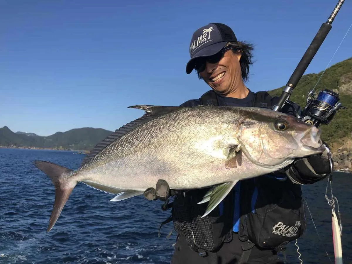 ヒレナガカンパチ。名前の通り、カンパチより背ビレが長いのが特徴で国内ではカンパチより、暖かい海に生息。主に九州や沖縄で狙う事が出来る。©釣りビジョン