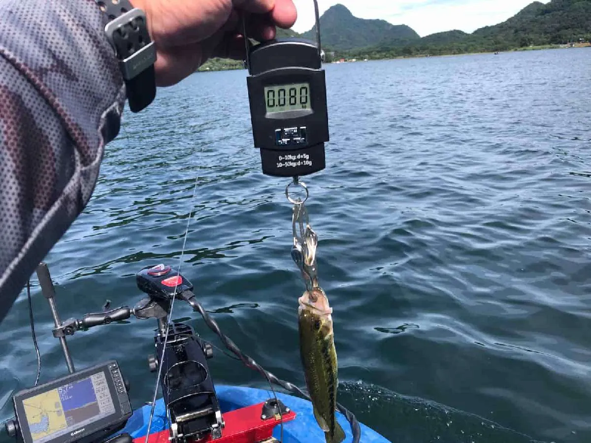 0.08kg？100gないのか、このバス。©横沢鉄平