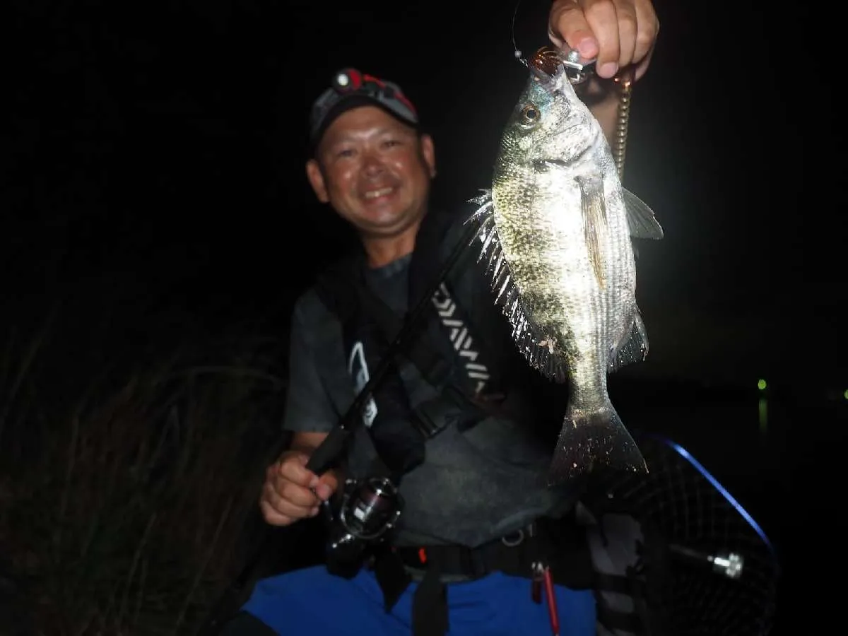 残り15分宣言をすると、すぐにこのチヌが釣れた。ルアーはアーバンシュリンプ2.4インチ（DAIWA）のスプリットショットリグ。　©釣りビジョン　写真：横沢鉄平