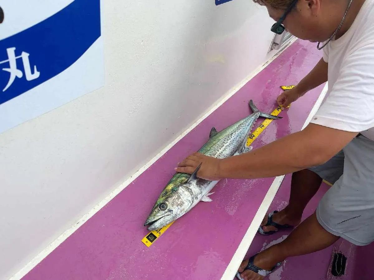 公開される釣果情報は実測で確実な点も特筆。©釣りビジョン
