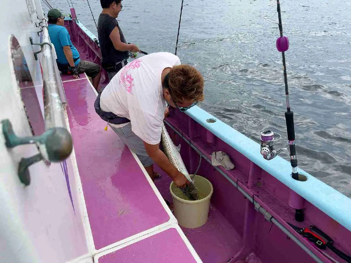 釣った魚はすぐさま船長が血抜きと神経締めをしてくれる。©釣りビジョン