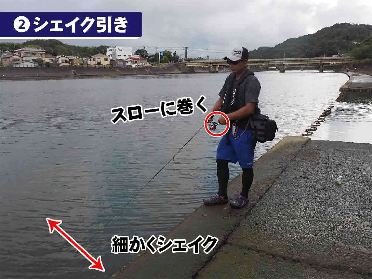 【基本アクションその2・シェイク引き】
リーリングでボトムをずる引きしつつ、ロッドを細かくシェイクさせる。ノー感じになりにくいので、メンタル的にもいい。　©釣りビジョン　写真：横沢鉄平