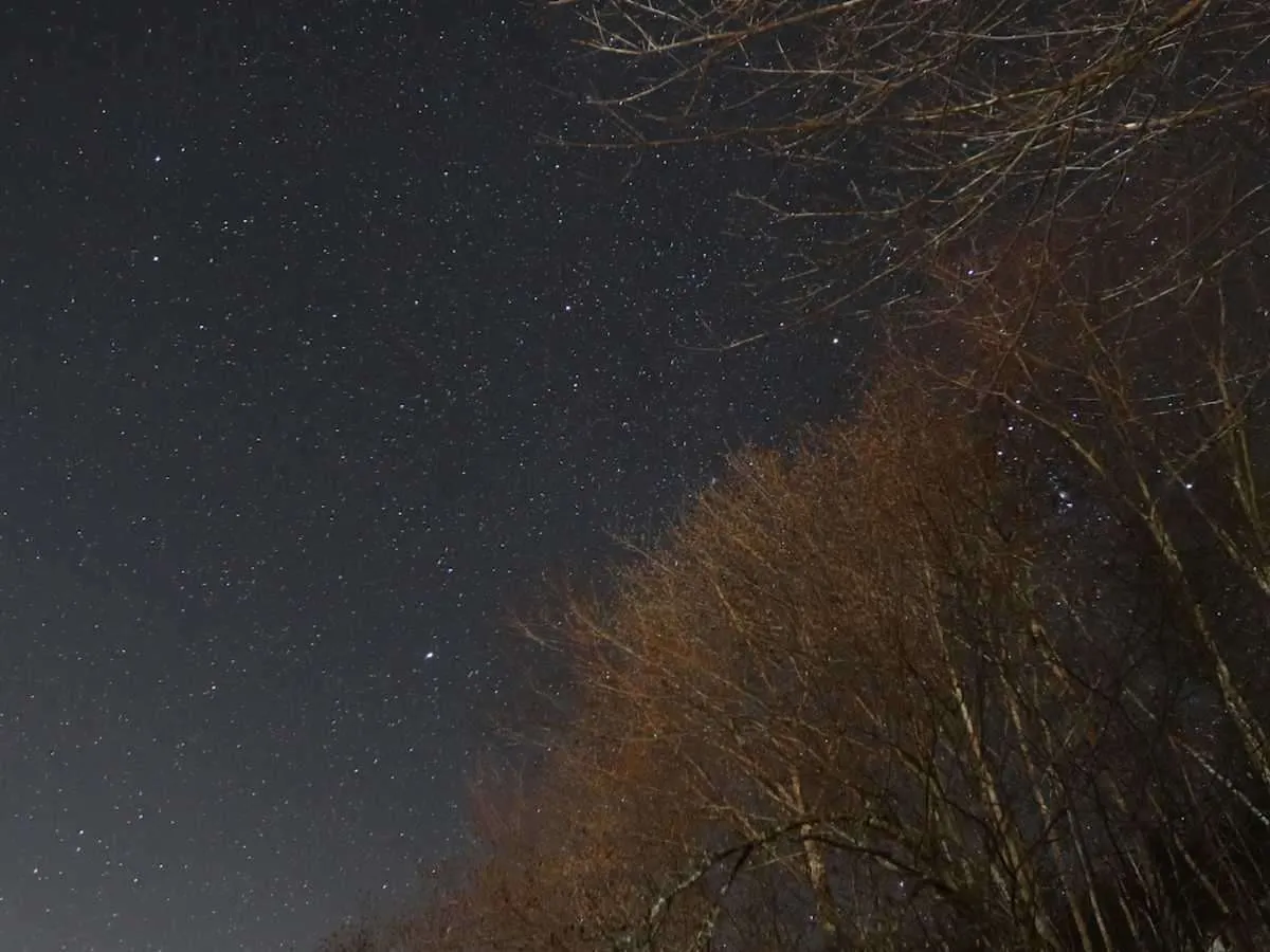 天気の良い日は頭上に満天の星が広がる。©釣りビジョン