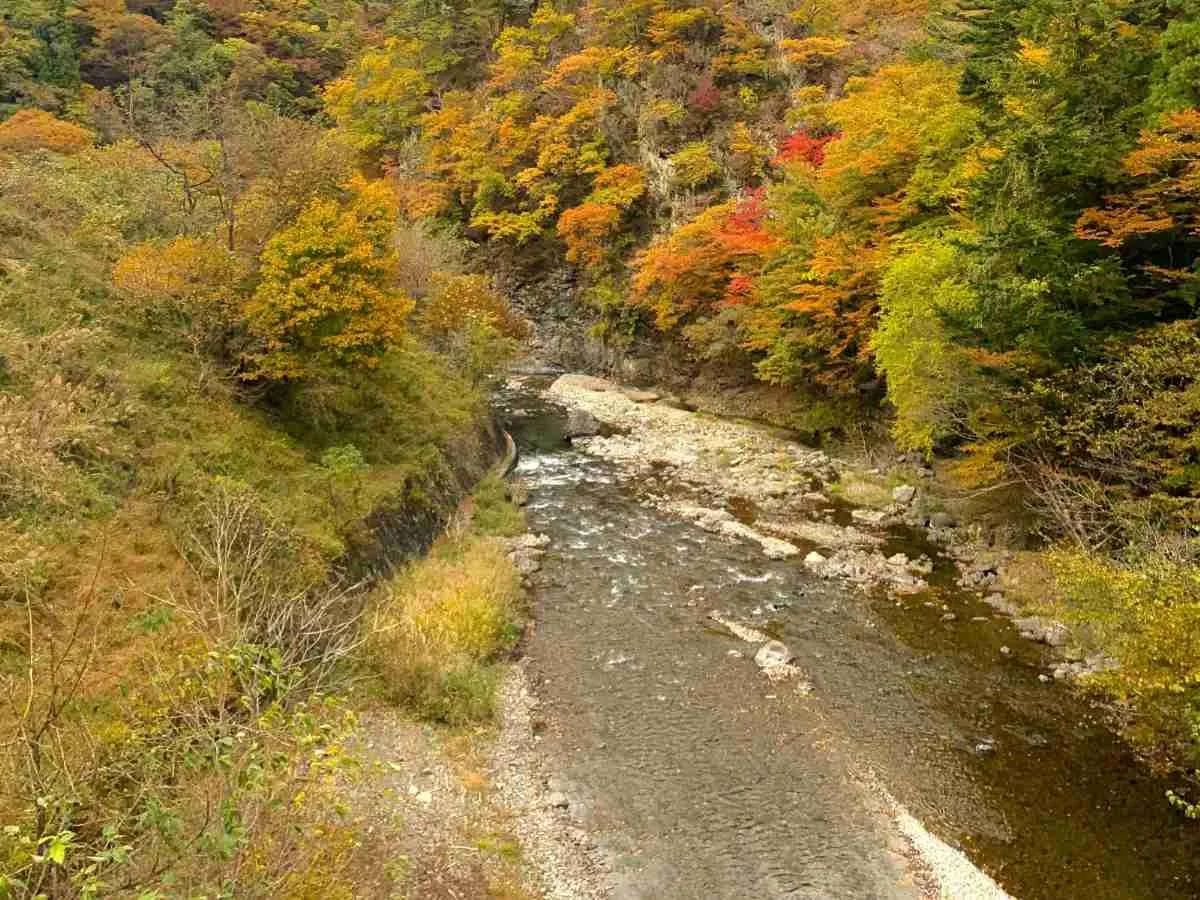 神流川と紅葉する山々。©釣りビジョン