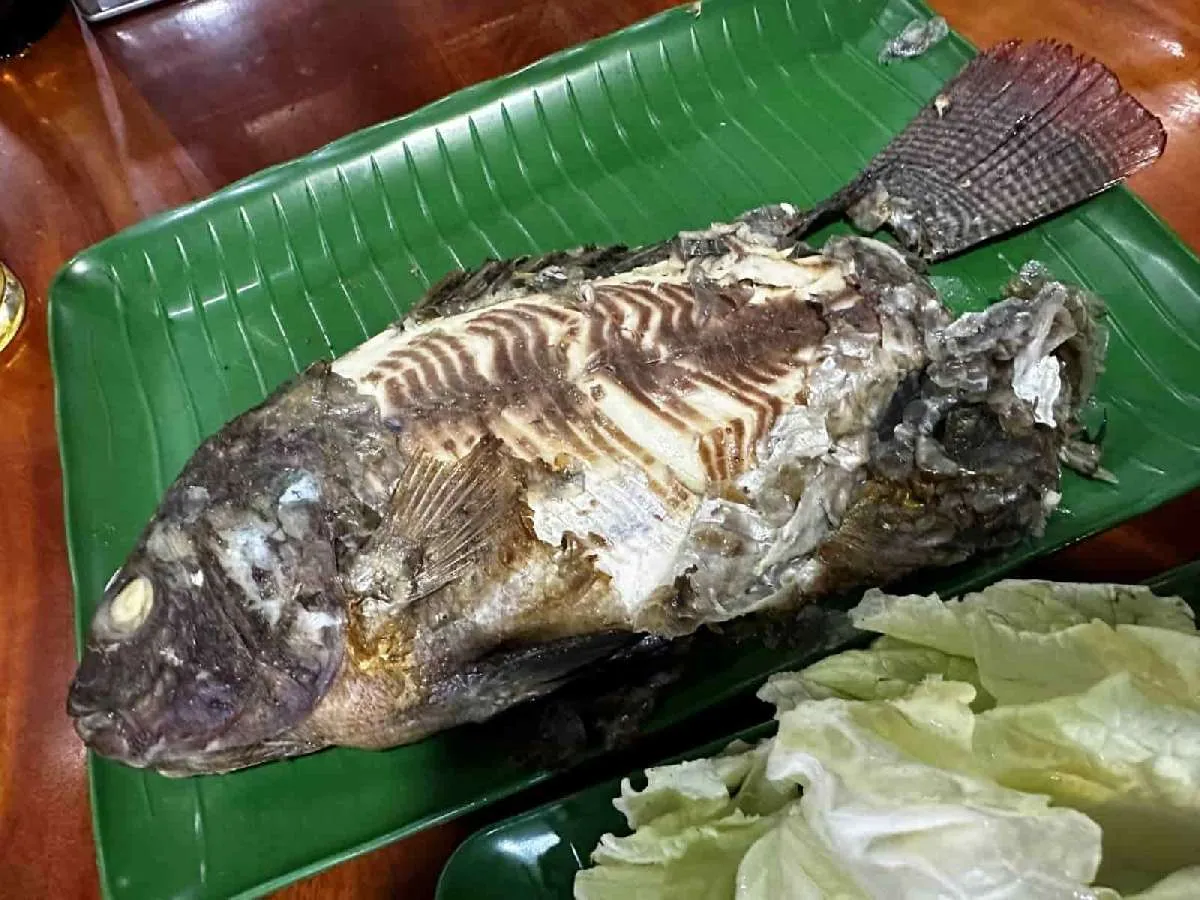 こちらはテラビアの炭火炙り焼き。見た目はアレだが、味はなかなかのもの。©望月俊典