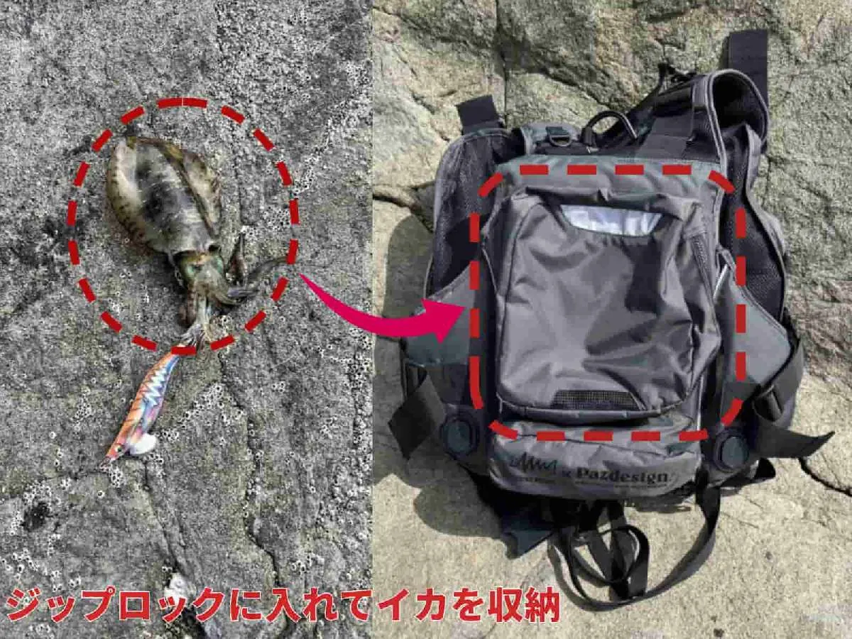 釣ったイカを保冷剤と一緒にジップロックに入れて、背面のポケットに収納！他の同僚に聞くと、やはり手持ちを減らしたいので、同じように魚を入れることもあるらしい。©釣りビジョン