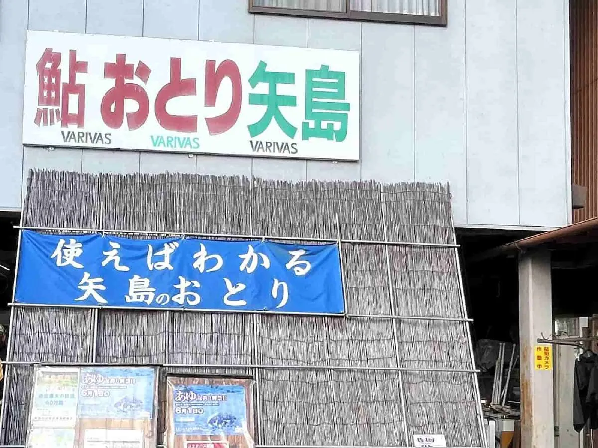 「使えばわかる『矢島』のオトリ」は元気いっぱい！　©釣りビジョン