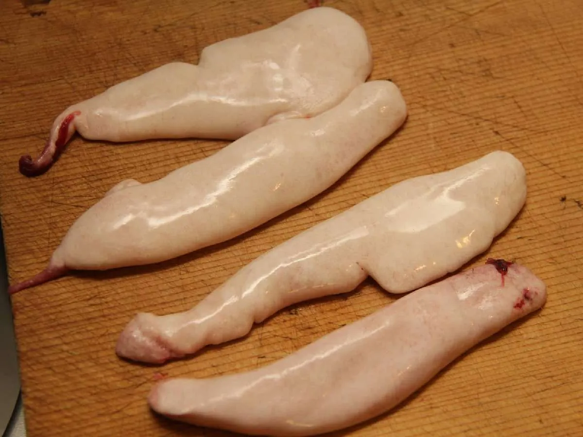 2尾のニジマスから取り出した白子。ガッカリ……はしない！白子だって珍味。立派な食材だ。美味しく料理してやるぜ！！　©宮崎紀幸