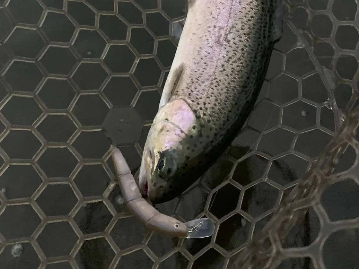 最初に魚群を発生させたハイドラムはフローティングモデル。十数年の朝霞ガーデン歴で初めての光景だった…。　©釣りビジョン