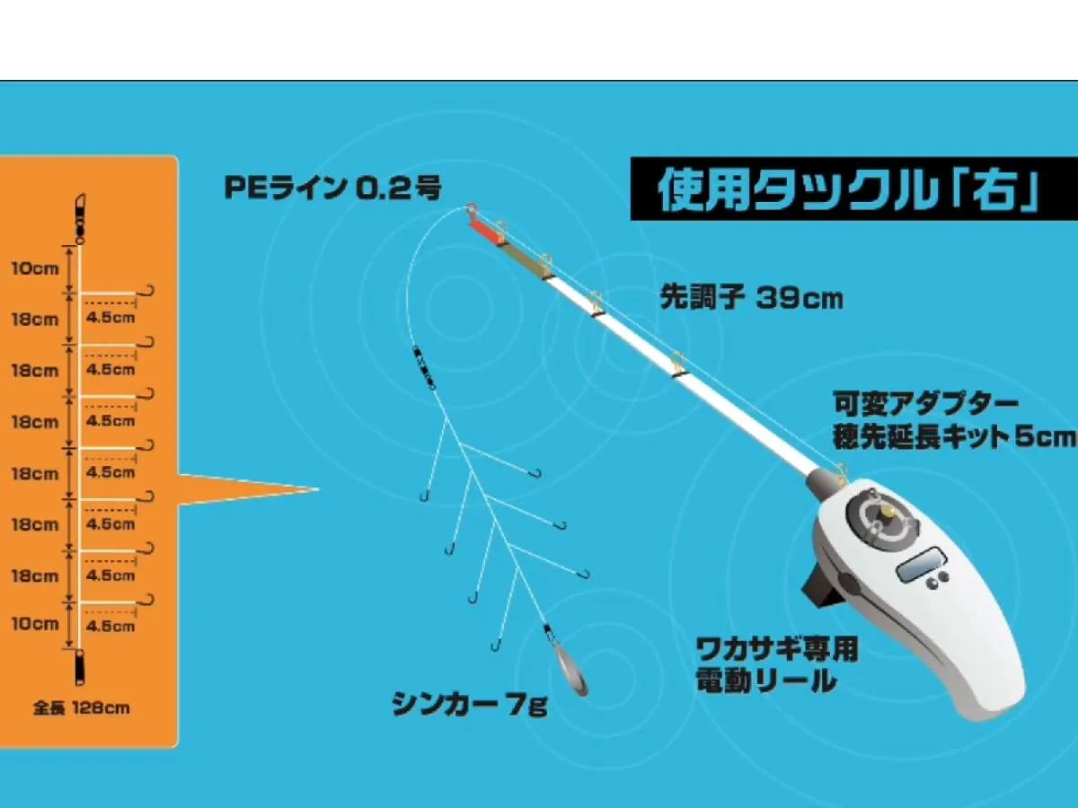 水草が多いポイントを攻めるため、普段は付けているが今回は下バリを付けていない。©釣りビジョン