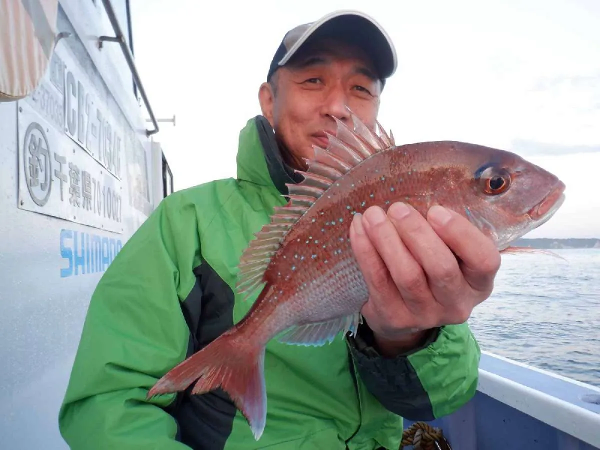 明るくなるとマダイが突然釣れ始めた！ ©釣りビジョン