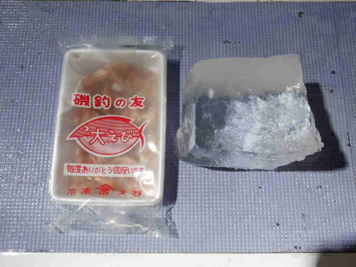 餌の冷凍エビと氷のブロックが配られた ©釣りビジョン