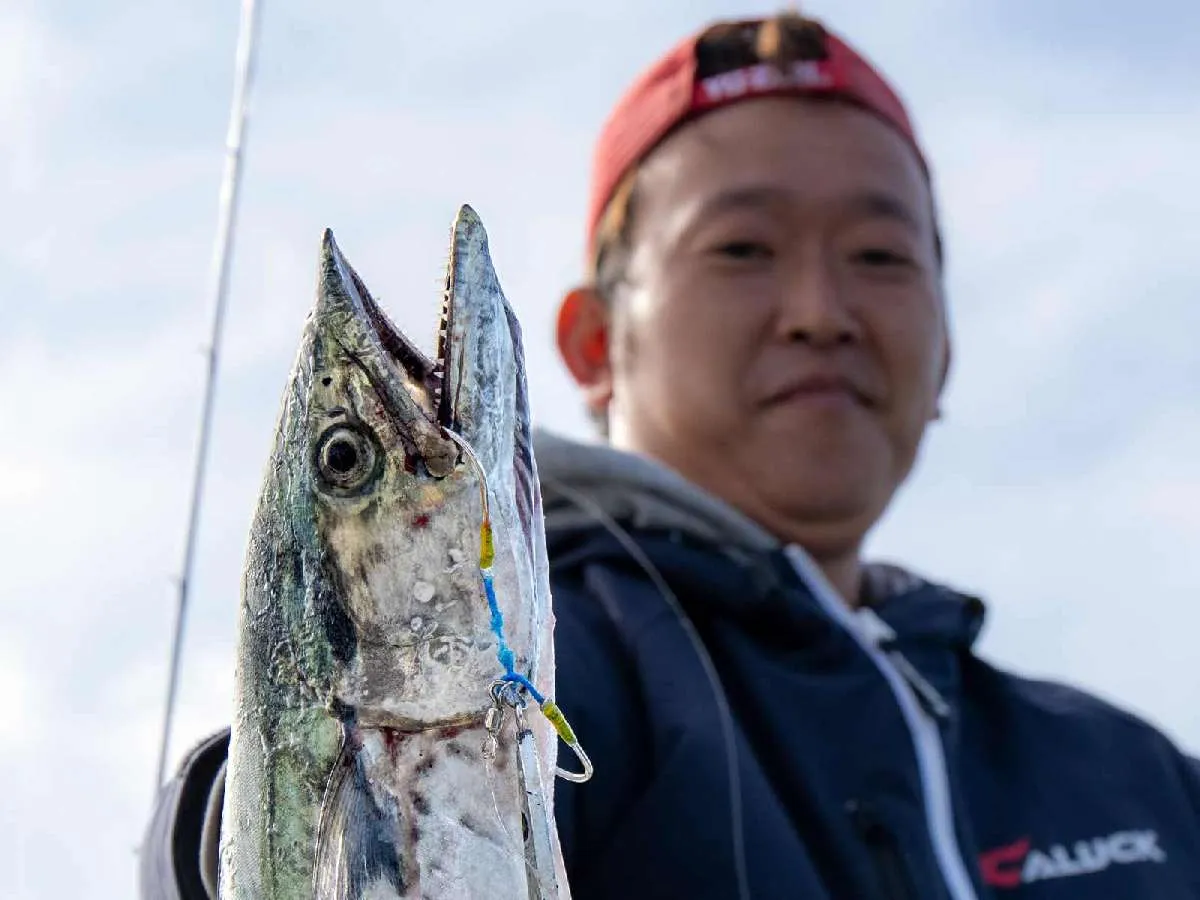 ラインをスパッと切り裂く 鋭い歯を持つサワラ ©釣りビジョン
