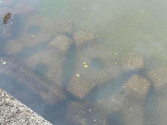 今回撃った穴、その1。波消ブロックの隙間。水深があり、流れが利きやすい場所に設置されているので、ハゼの魚影が濃い。 ©望月俊典