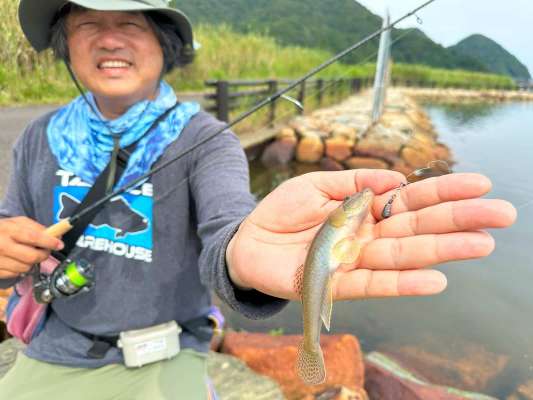 こっちは岩の隙間から釣れたハゼ。 ©望月俊典