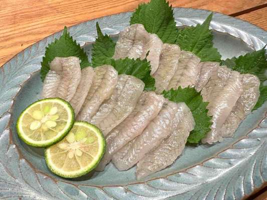 まずは、お刺身でいただいた。上品な甘みと適度に乗った脂、しっかりした食感も楽しめる。スーパーなどに刺身が出回ることはまずない。自分で釣れば、この絶品を楽しめるのだ。 ©望月俊典