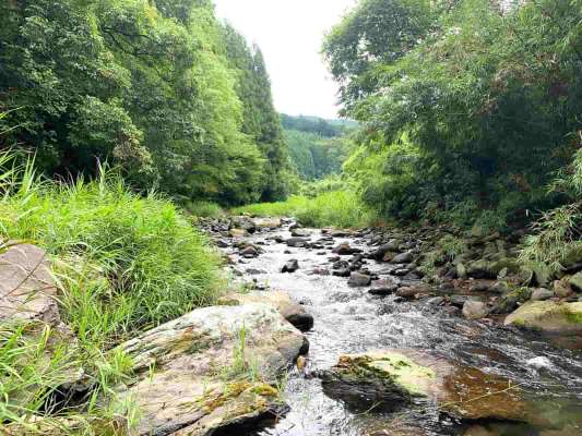 何度かライズはあったがゴツンはこの瀬の一度きりだった。 ©釣りビジョン