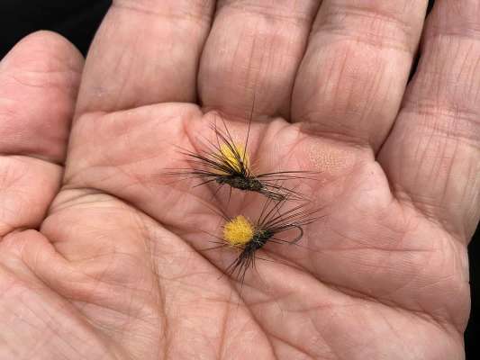 老眼をしばたたかせて編んだスーパースターのスパイダーパラシュート。 ©釣りビジョン