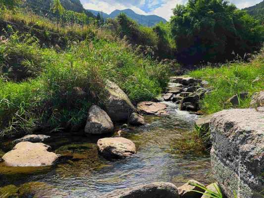 豊前の渓。 ©釣りビジョン