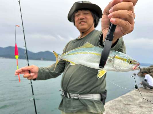 今度こそ！…と思ったが、釣れたのはツバス。 ©望月俊典