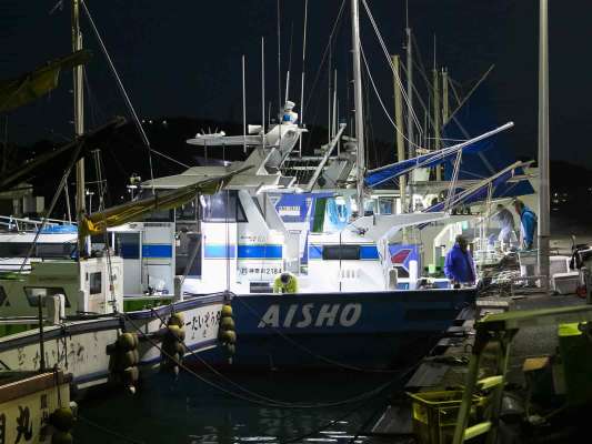 時間になると各船灯りを付け出迎えてくれる。 ©釣りビジョン