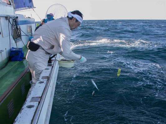 先ずはハモノ狙いのエサ釣りから開始。 ©釣りビジョン
