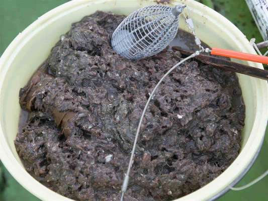 コマセはイワシミンチを使用する。 ©釣りビジョン