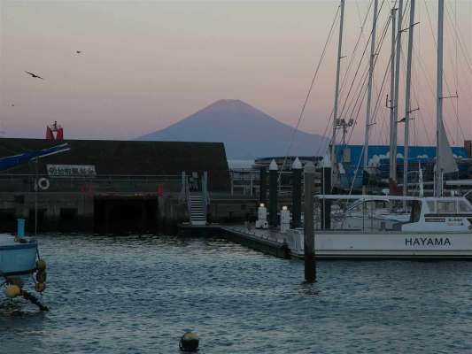 綺麗な紅富士が拝める季節になってきた。 ©釣りビジョン