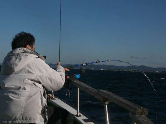 ミヨシでヒット。 ©釣りビジョン